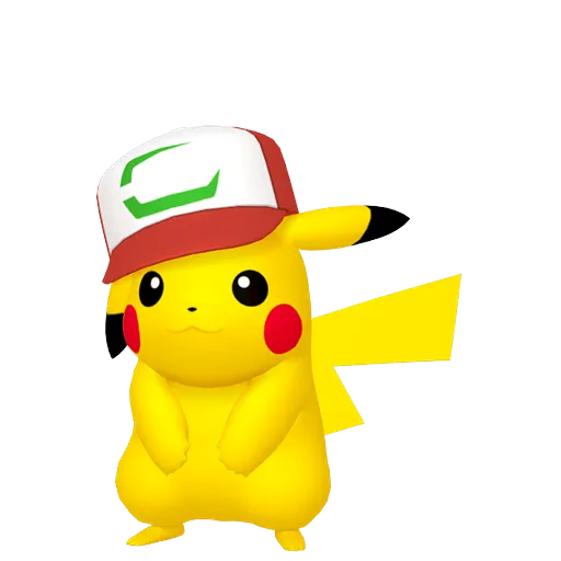Pikachu-Partner
