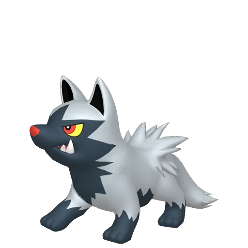 Poochyena